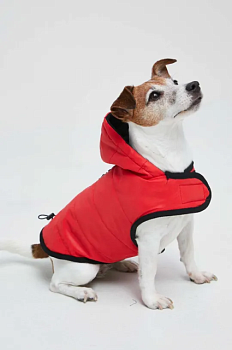 foto куртка для собаки medicine